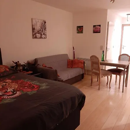 Studionusi