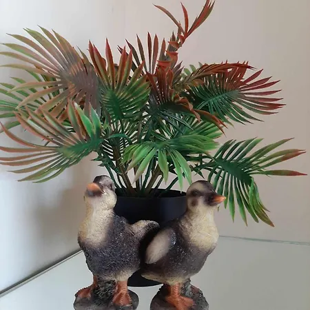 Studionusi Blankenberge